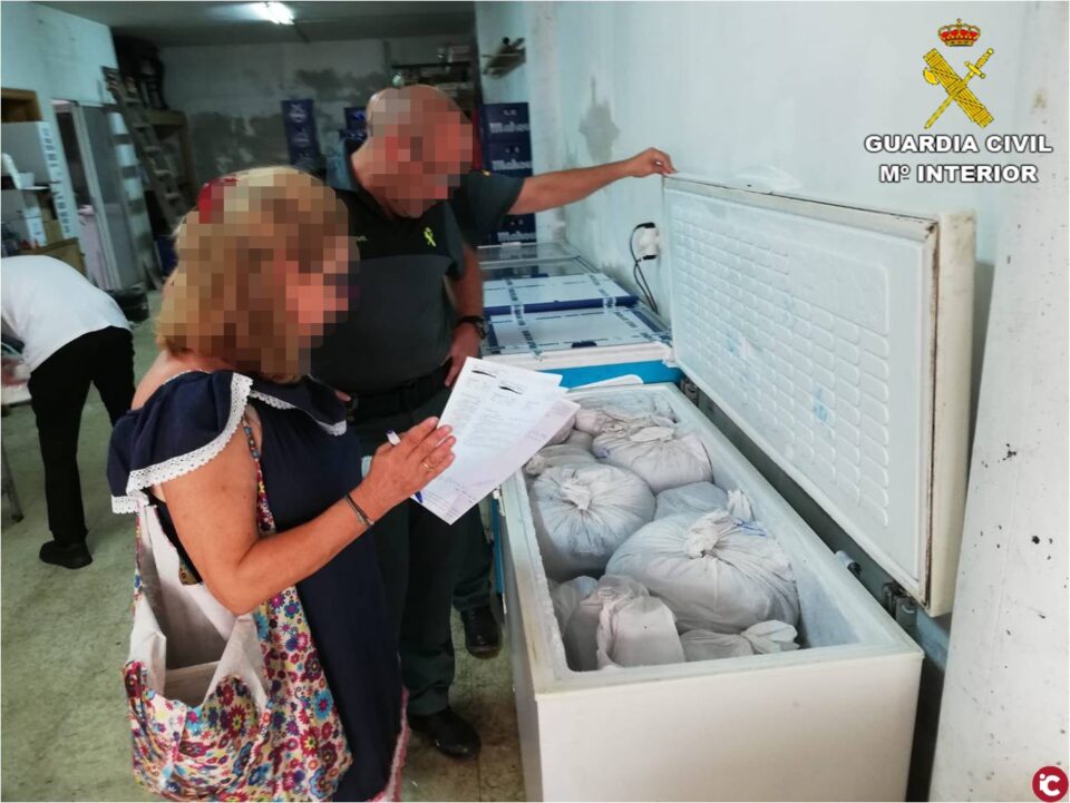La Guardia Civil incauta 600 kilos de pulpo ilegal en un restaurante de Santa Pola