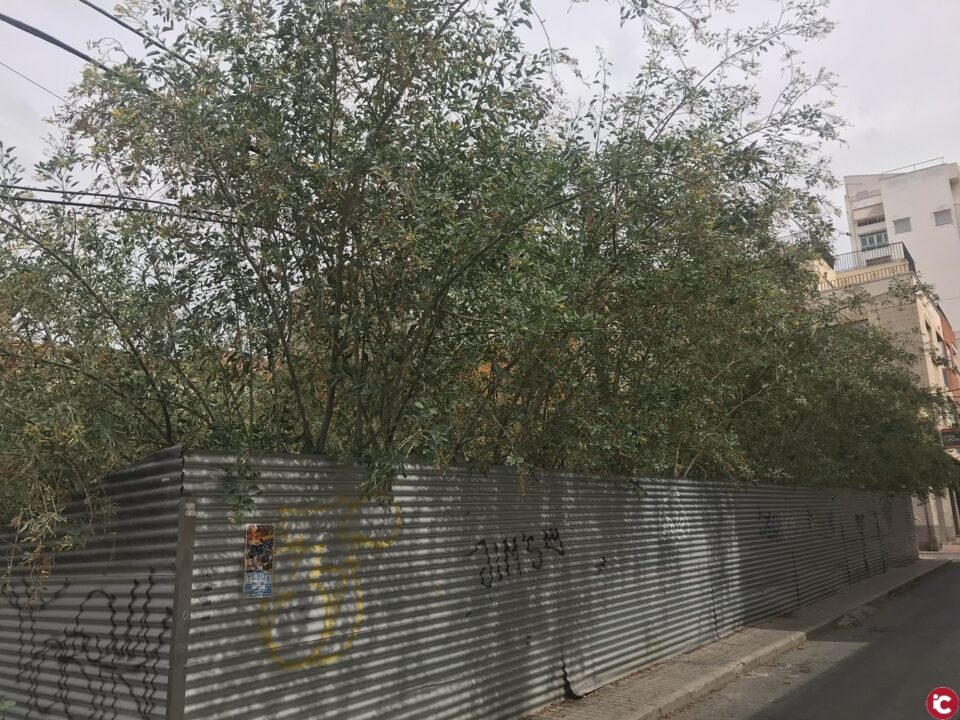 Falta de actuación de los Verdes sobre el solar de las calles San Cristóbal-Parrales pese a las reiteradas peticiones - Comunicado PP