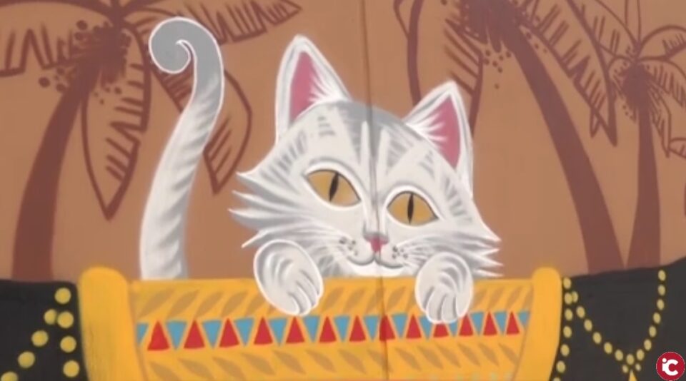 Actuaciones para revitalizar los espacios públicos