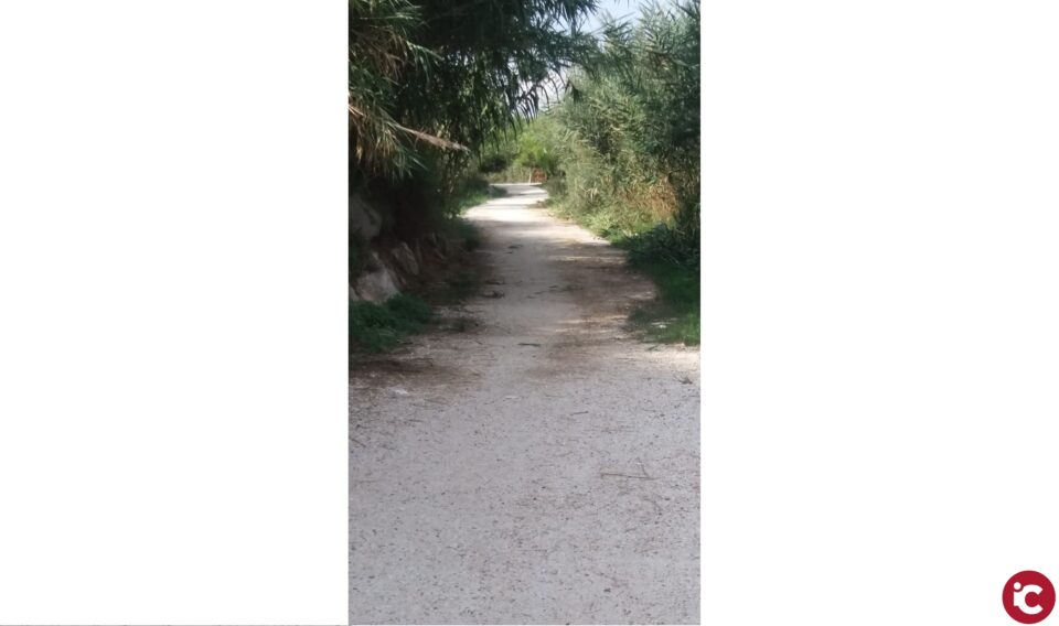 El Ayuntamiento de Aspe retoma las labores de mantenimiento tras el periodo de nidificación de las aves y destina durante el 2018