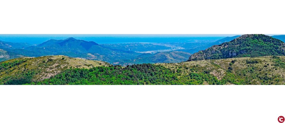 La Universitat d'Alacant i Casa Mediterrani celebren demà les I Jornades d'Anàlisi i Gestió d'Ecosistemes Mediterranis