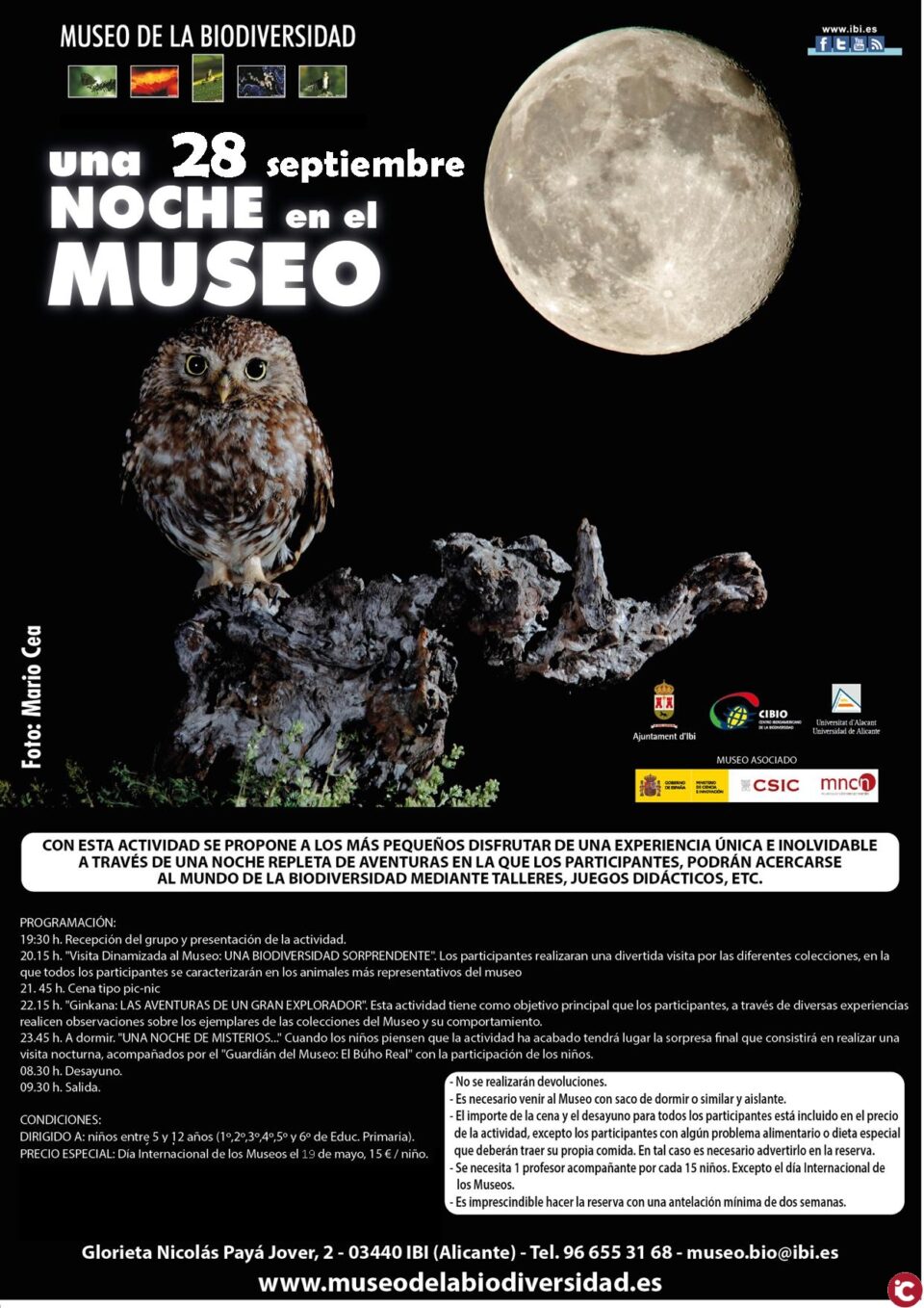 El Museo de la Biodiversidad de Ibi arrasa con sus actividades para la vuelta al cole