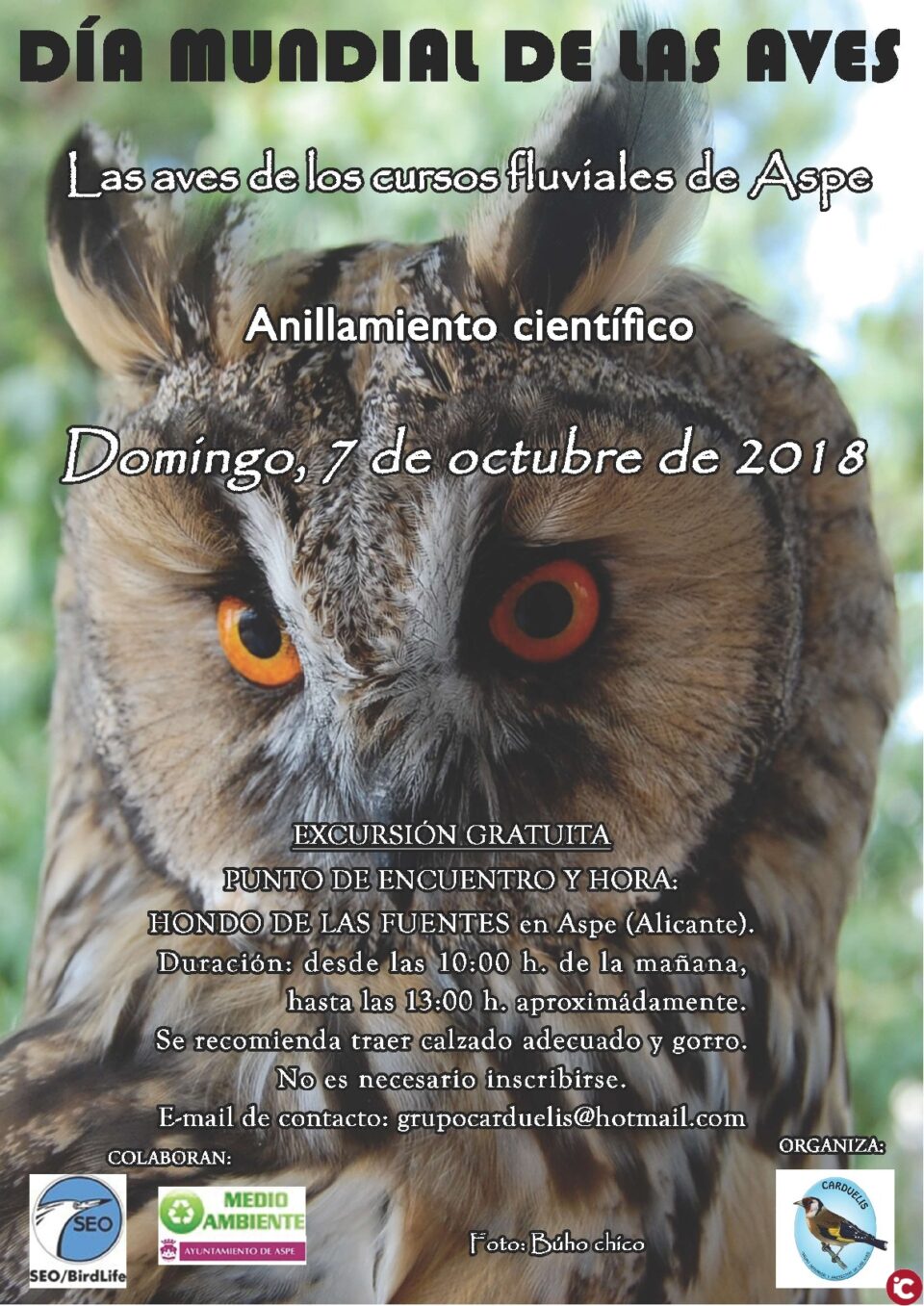 Aspe celebra el Día Mundial de las Aves con una jornada de anillamiento científico en el paraje natural del Río Tarafa