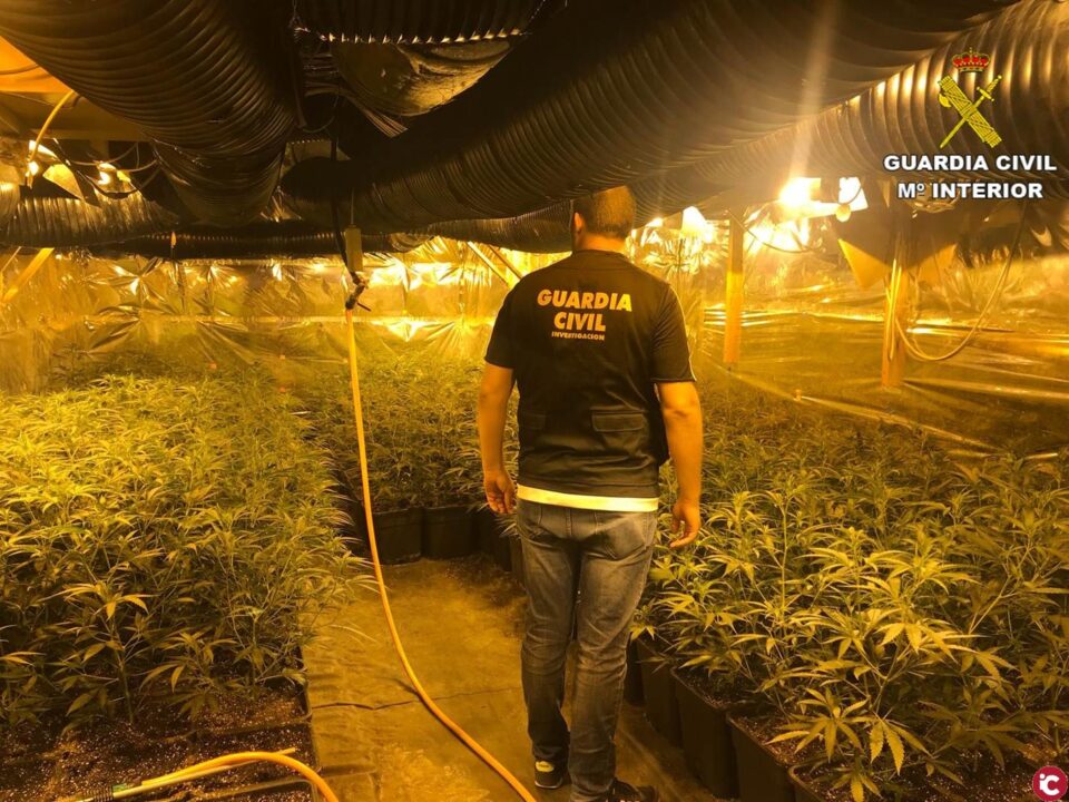 La Guardia Civil desmantela una organización que pretendía cultivar más de 10 toneladas de marihuana al año en la provincia de Alicante