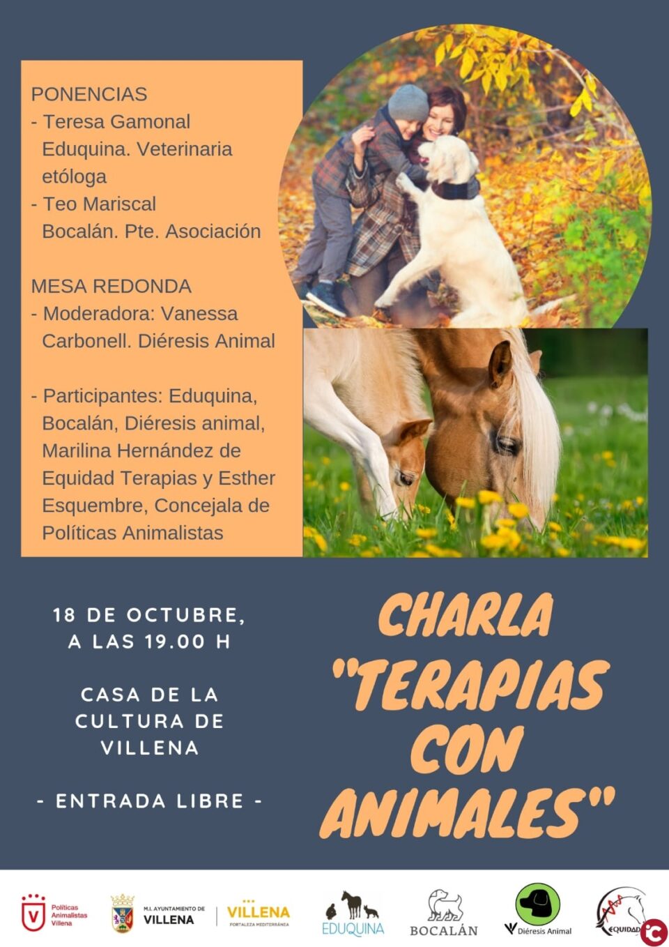 Conoce la realidad y beneficios de las terapias con animales