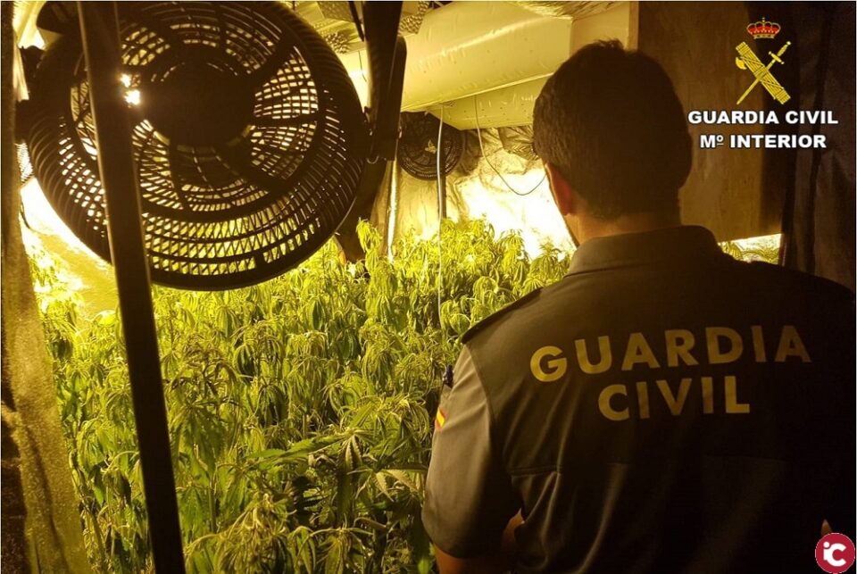 La Guardia Civil desarticula una nueva organización dedicada al cultivo de marihuana por toda la provincia de Alicante