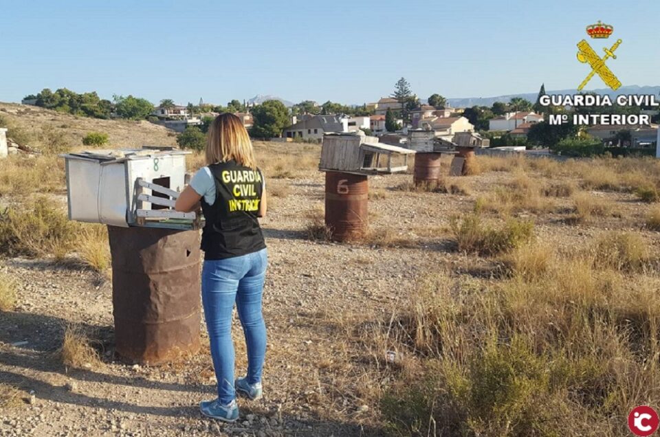 La Guardia Civil desmantela un grupo criminal especializado en el secuestro de palomos en la provincia de Alicante