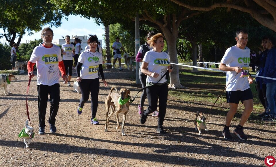 Más de 900 participantes han disfrutado hoy de la I edición de Can we Run en Alicante