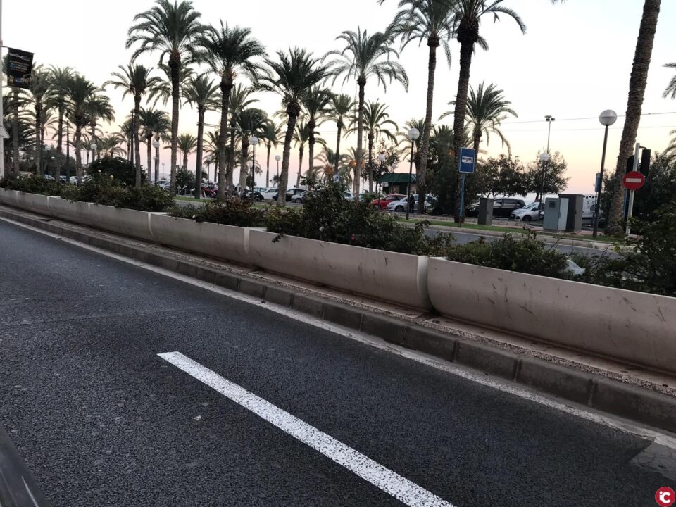 El Ayuntamiento ajardinará con rosales la mediana de la avenida Juan Bautista Lafora para embellecer la imagen de la ciudad