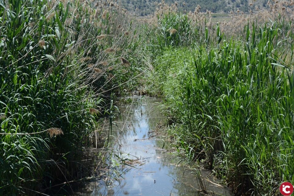 La Generalitat aportará a Pinoso casi 9000000 euros para la mejora de municipio en 2019/2020