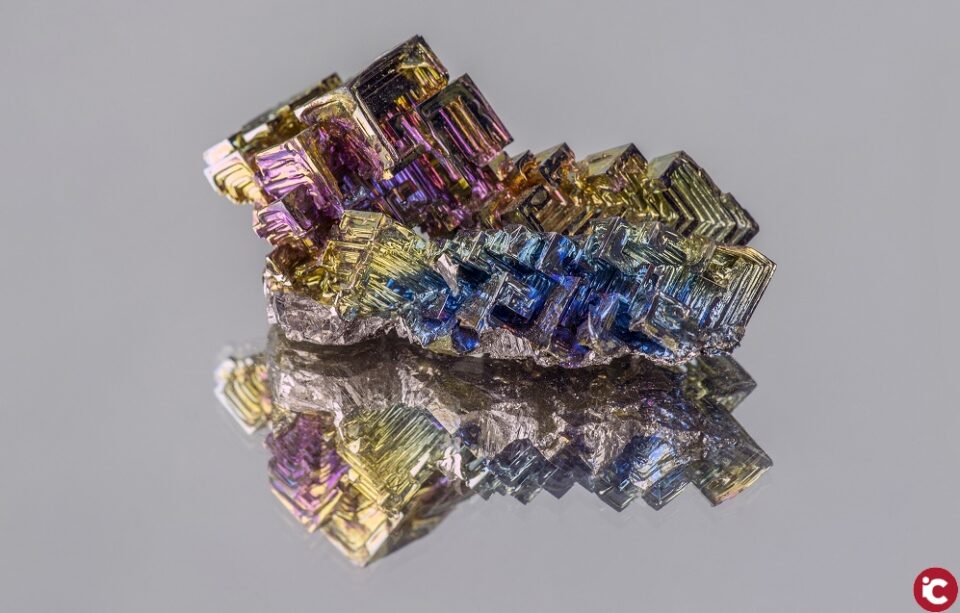 Comença la setmana gran de la Facultat de Ciències de la Universitat d'Alacant per Sant Albert Magne