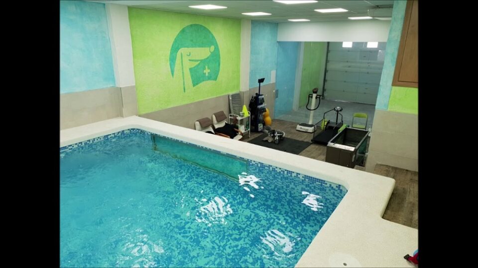 Abre en Sax el nuevo centro de fisioterapia y rehabilitación veterinaria Canisax