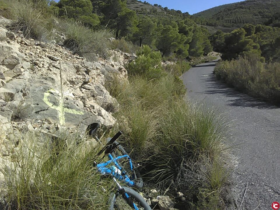 Coalición de Centro Democrático