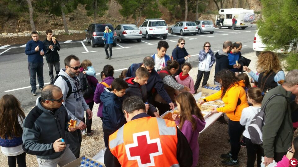 Resultado de la reforestación del Domingo 18 de Noviembre