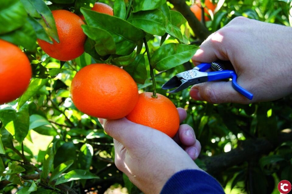 UGT-FICA PV: La Federación de Industria