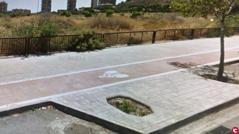 El Ayuntamiento saca a licitación la reposición de 135 árboles en alcorques vacíos de los barrios de Altozano