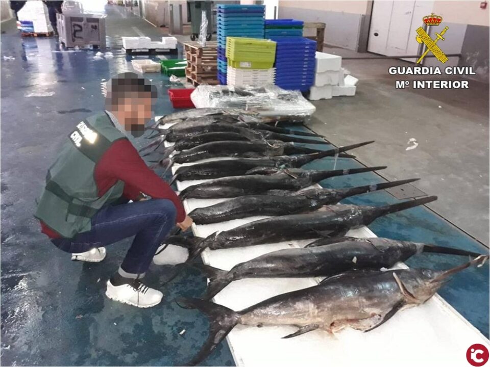 La Guardia Civil incauta media tonelada de pescado no apto para el consumo