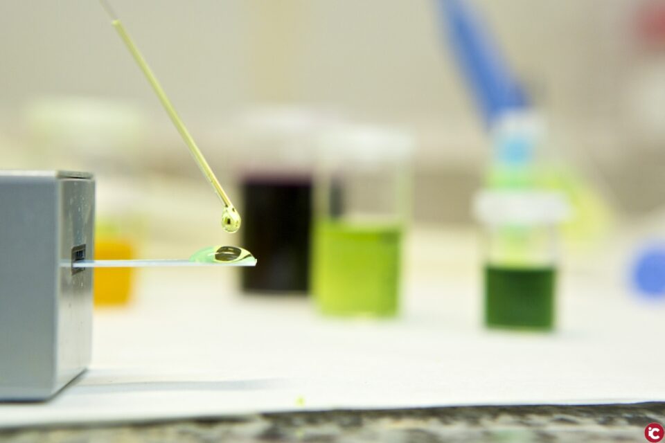 Sis investigadors de prestigi internacional tornen a la Universitat d'Alacant gràcies al pla de recuperació de talent científic GenT