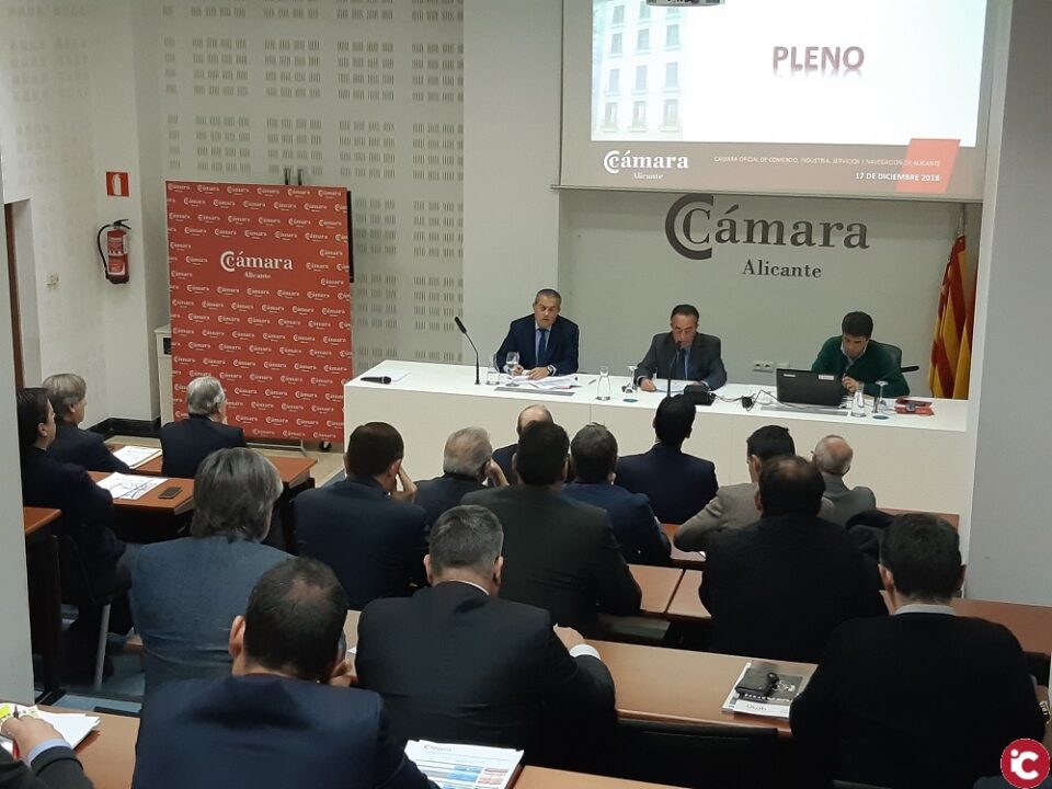 El Pleno de Cámara Alicante aprueba un presupuesto equilibrado para 2019