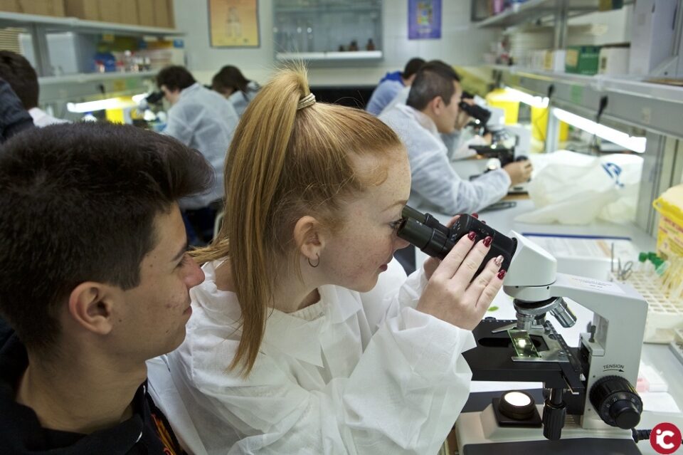 Más de un millar de estudiantes de ESO y Bachillerato participan en "Ven a hacer prácticas a la Universidad" de la Universidad de Alicante