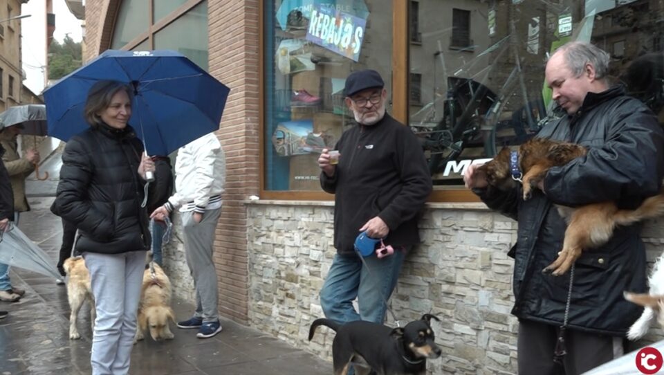 Desfilada de Sant Antoni passada per aigua