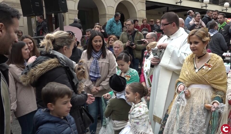Bendición de animales en San Antón