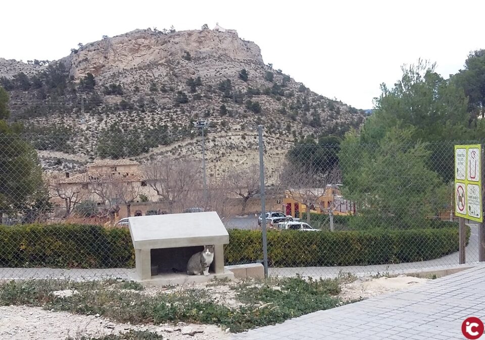 Xixona actúa sobre la colonia felina callejera con esterilización gratuita e instalación de comederos y bebederos municipales