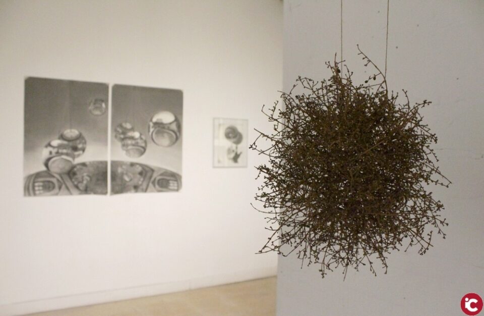 La Concejalía de Juventud vuelve al Centro 14 con la muestra colectiva de los ocho artistas seleccionados en la convocatoria Propuestas de Arte