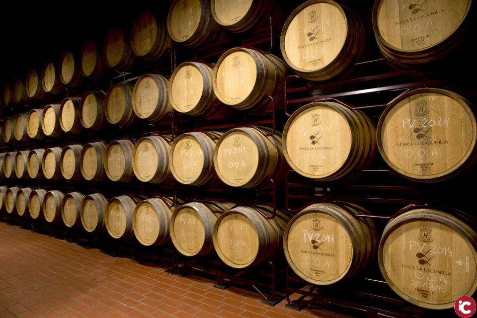 Enotur 2019: Villena sigue apostando por el enoturismo y la gastronomía