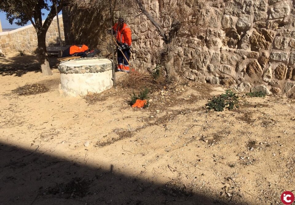 El Ayuntamiento realiza un desbroce y una limpieza a fondo de la isla de Tabarca