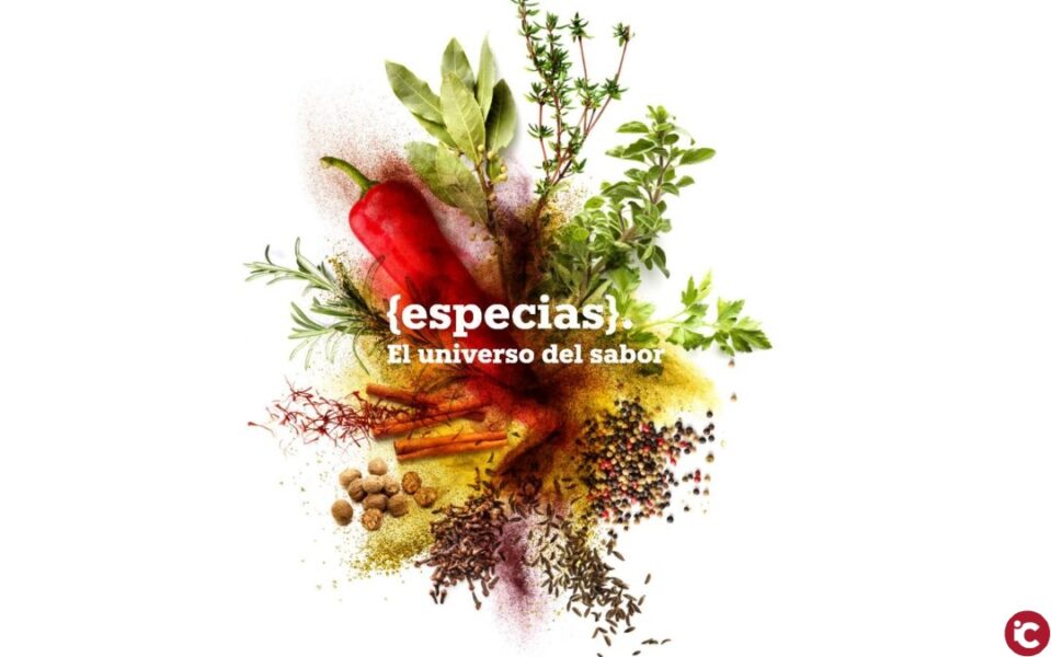 Visitamos la exposición temporal del MUA: Especias