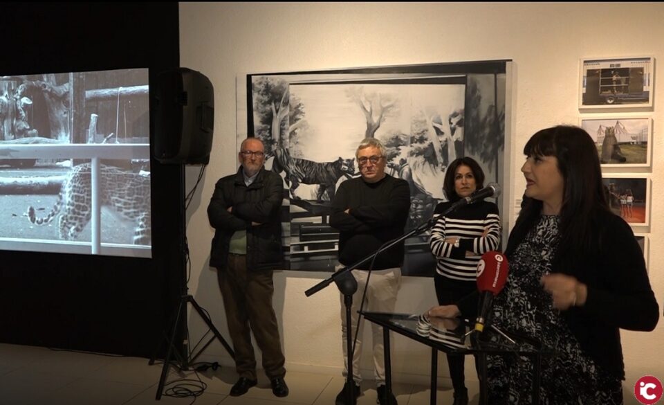 Inaugurada la exposición "Villena Capital Animal"