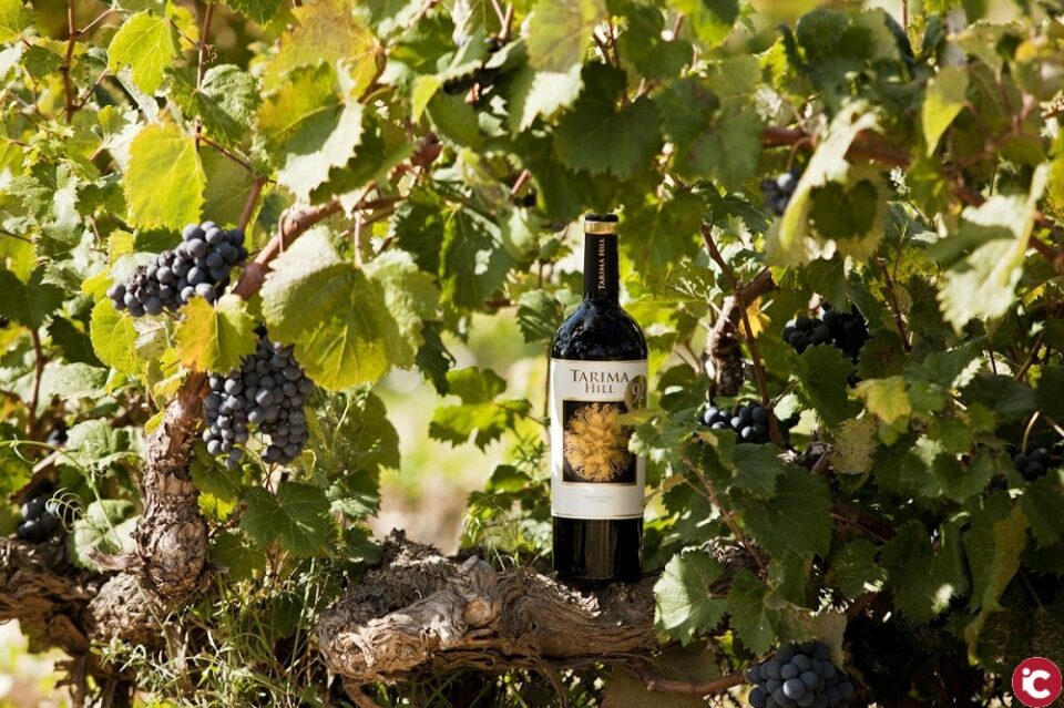 VINOS ALICANTE DOP: "Bodegas Volver: triunfando en Wine Spectator 2019"