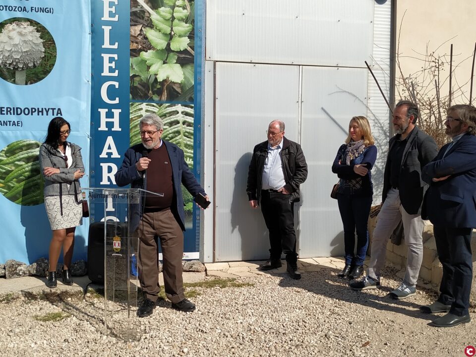El Jardín Botánico de Torretes de Ibi inaugura su briofitario