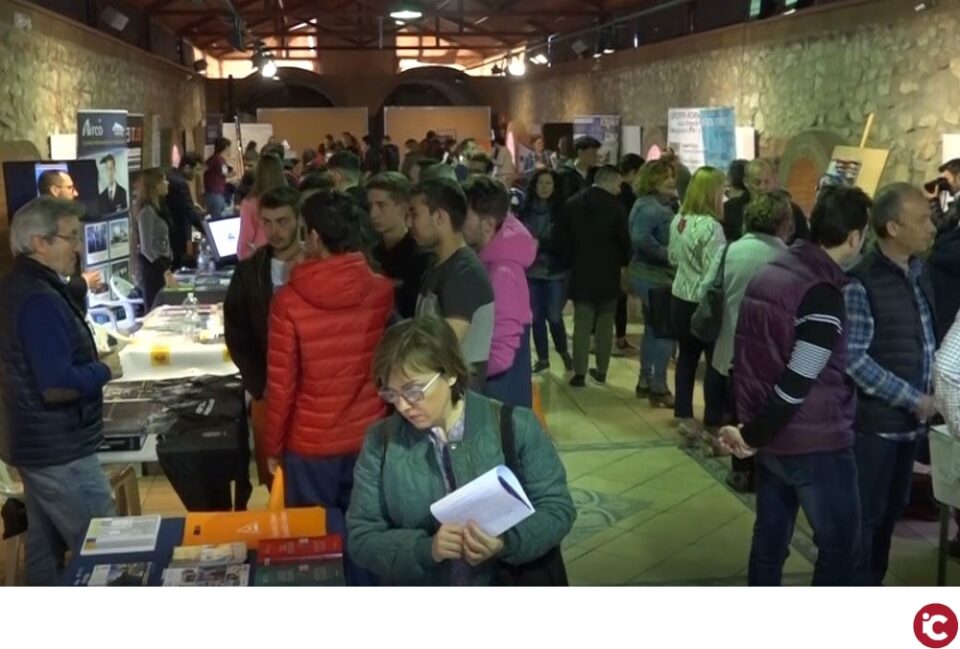 III Feria de orientación laboral y educativa Orienta-t en Petrer