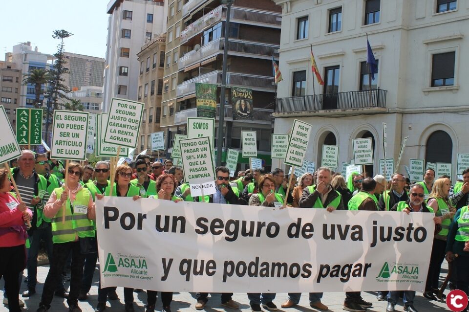 Más de 300 agricultores de uva de mesa colapsan la Plaza de la Montañeta en una concentración para denunciar la subida inasumible del seguro