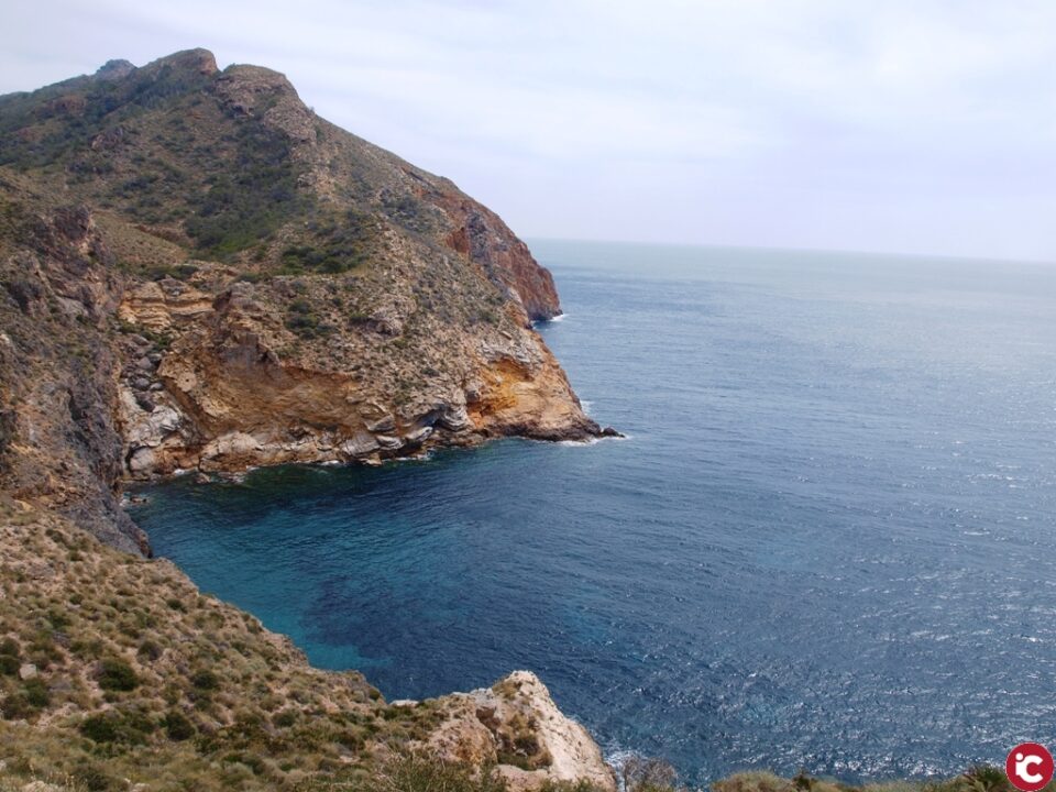 AVIANA en batería de Castillicos