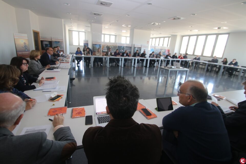 La Universitat d'Alacant aprova nous estudis internacionals simultanis amb universitats dels Estats Units i la Xina