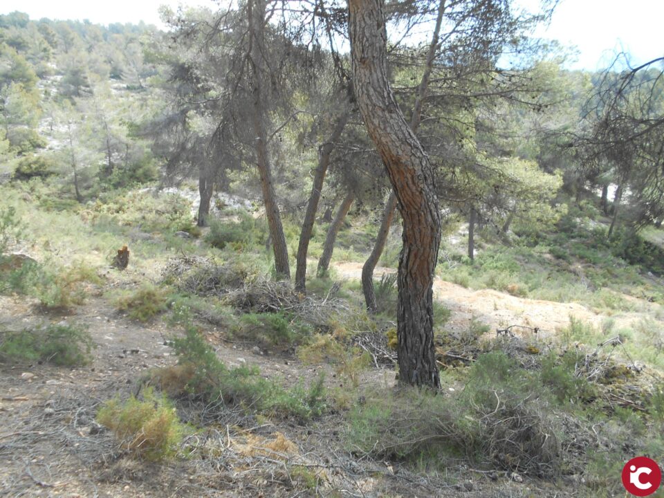 Ibi organiza un simulacro de prevención de incendios forestales en su término municipal