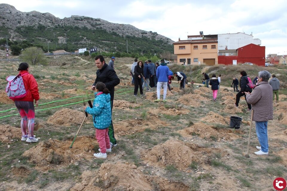Plantación de árboles en la Rambla Conejo
