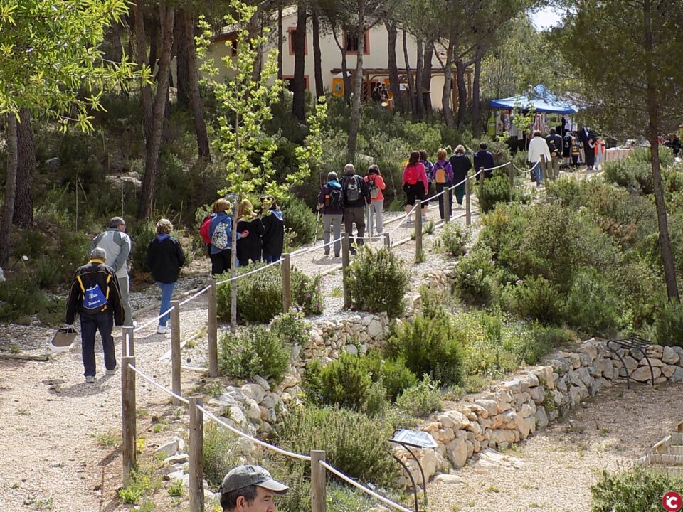 El Jardín Botánico de Torretes recibe 50.000  de Diputación para su mantenimiento y conservación