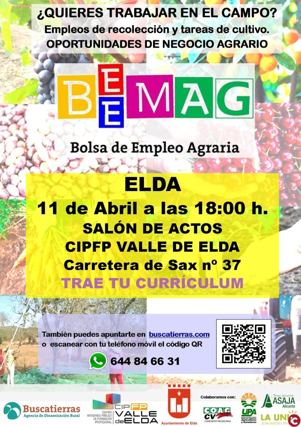 El CIPFP Valle de Elda acoge la Bolsa de Empleo Agraria para incentivar el trabajo en el campo