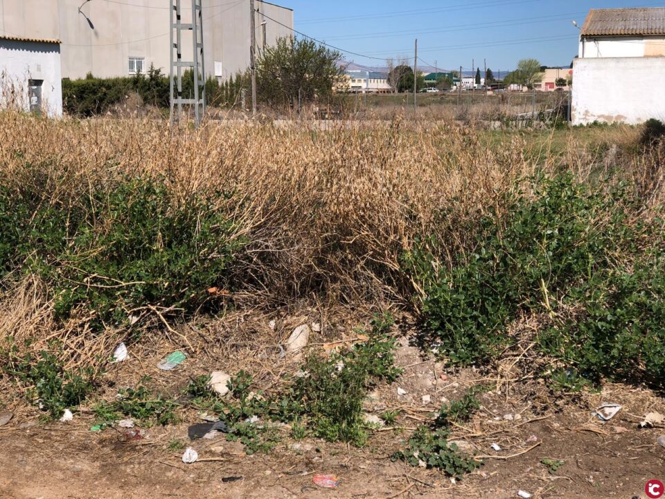 PSOE VILLENA: Solicitud de limpieza altos de la Condomina