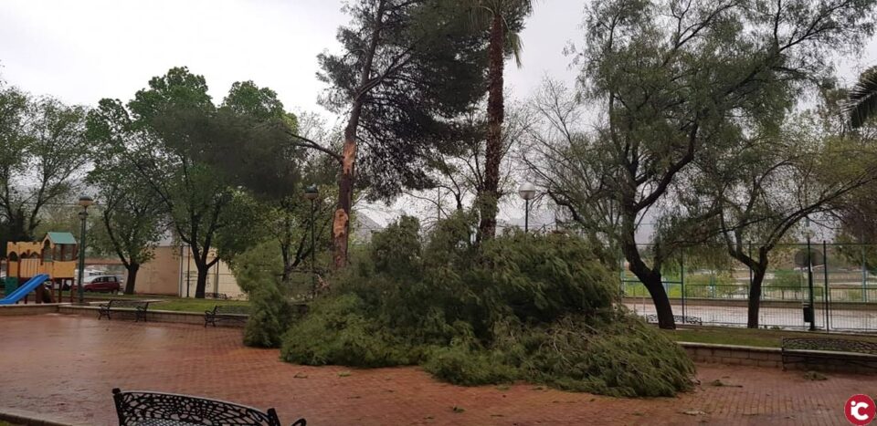 La Policía Local de Elda está trabajando en casi 20 intervenciones tras el fuerte temporal