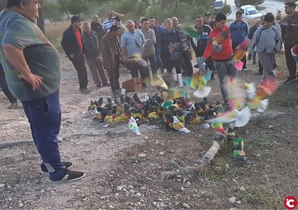 El Memorial Luis Calatayud Asensi de Colombicultura celebra su última prueba