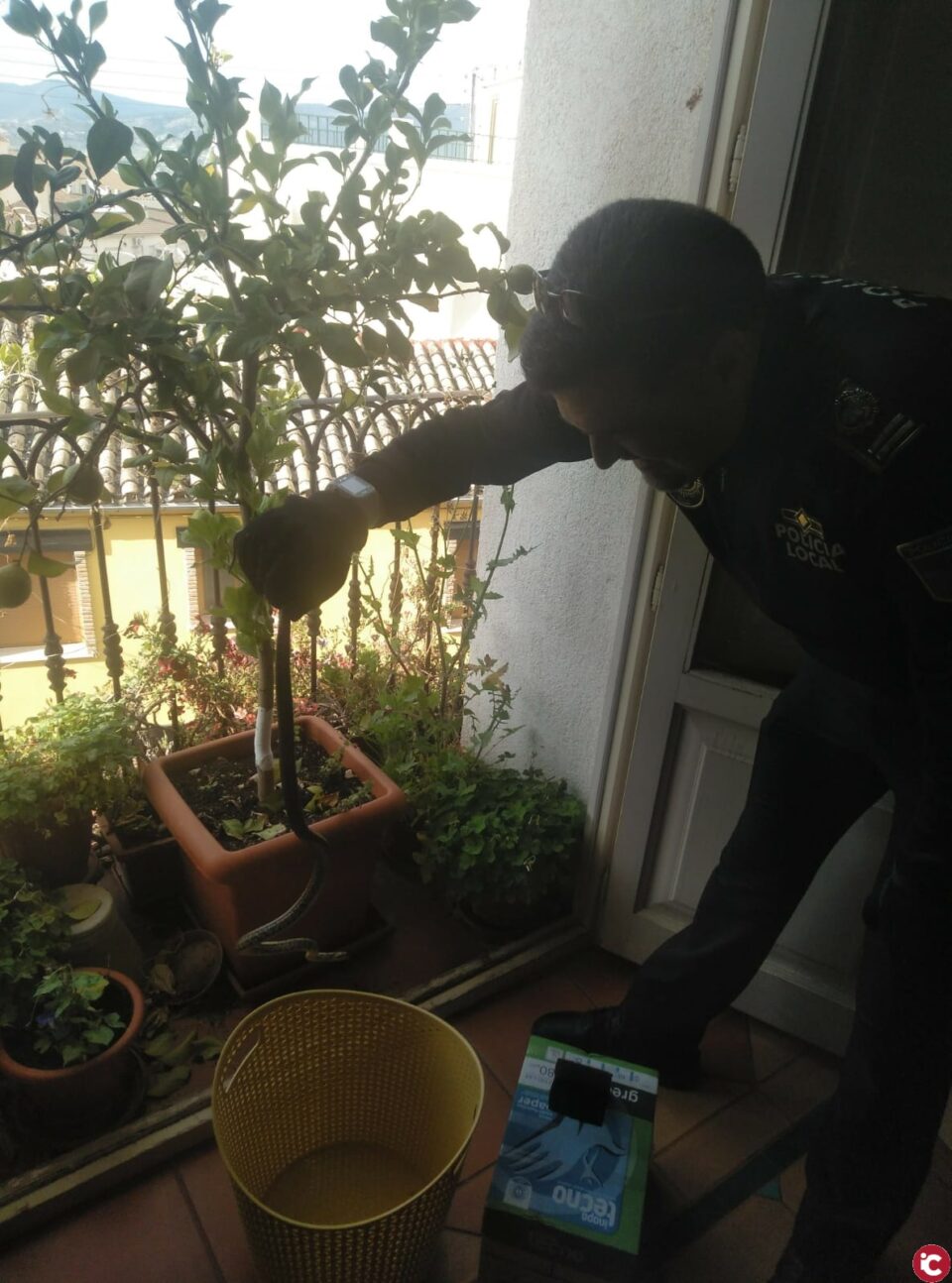 Policía Local de ONIL: Pa un roto y pa un descosío