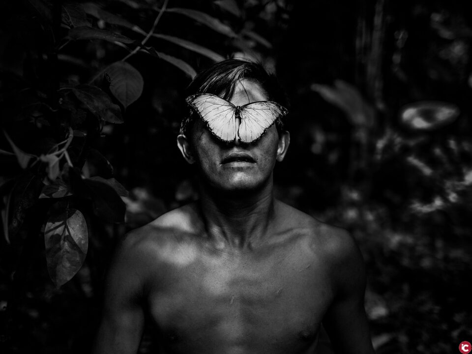 Cultura incorpora a sus fondos una obra de Javier Arcenillas