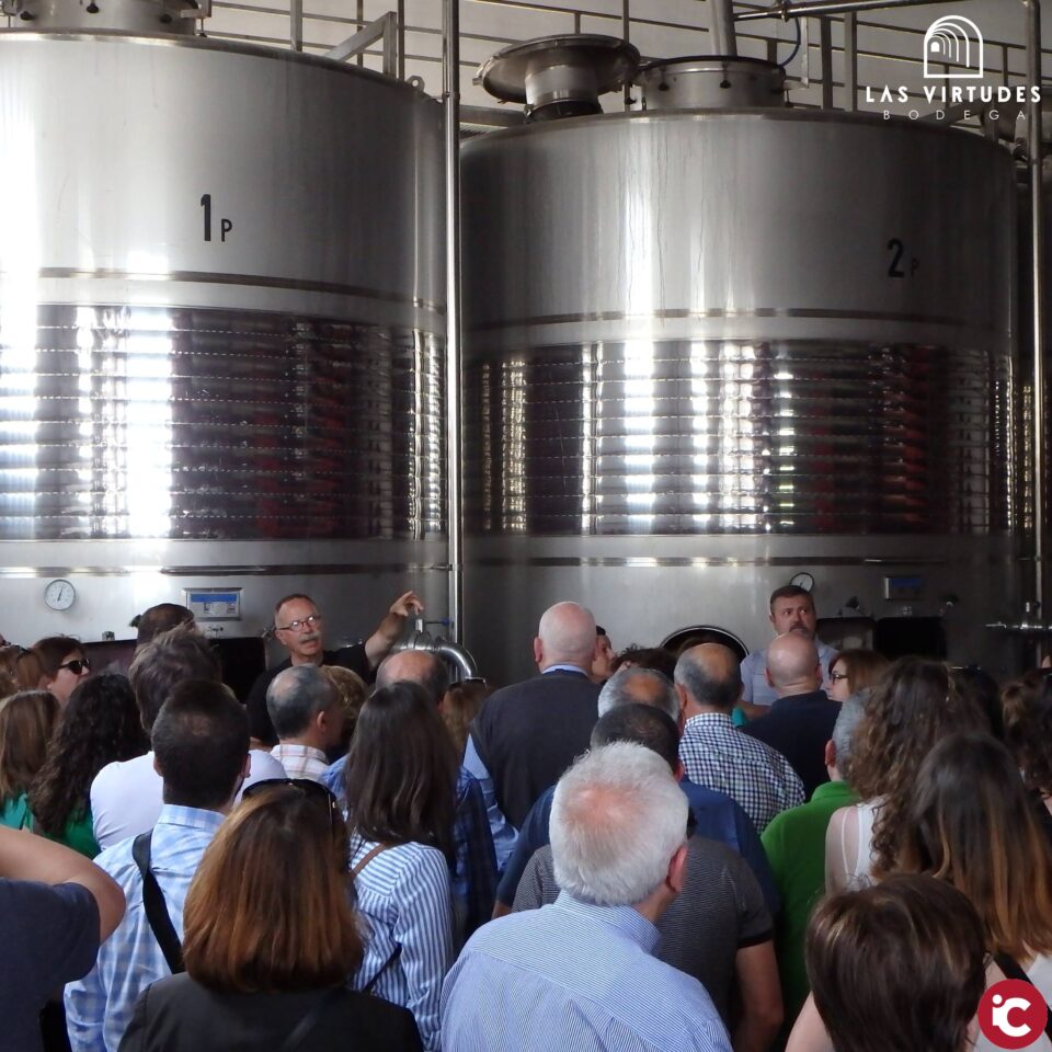 V Jornadas de Puertas Abiertas de Bodega Las Virtudes