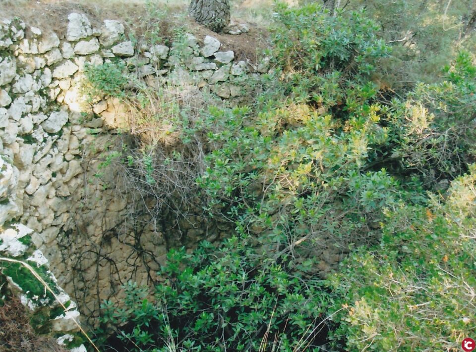 El Grupo de Trabajo Pozos de Nieve del Foro Cultural El Salicornio ha transmitido