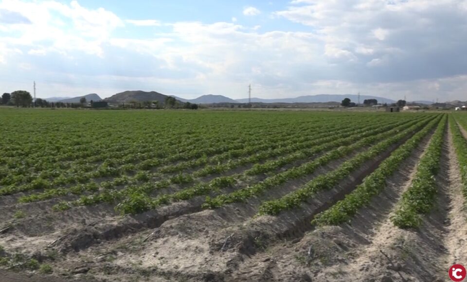 Conocemos la reivindicación y lucha que vienen realizando vecinos del municipio por la recuperación de los mojones de la Huerta